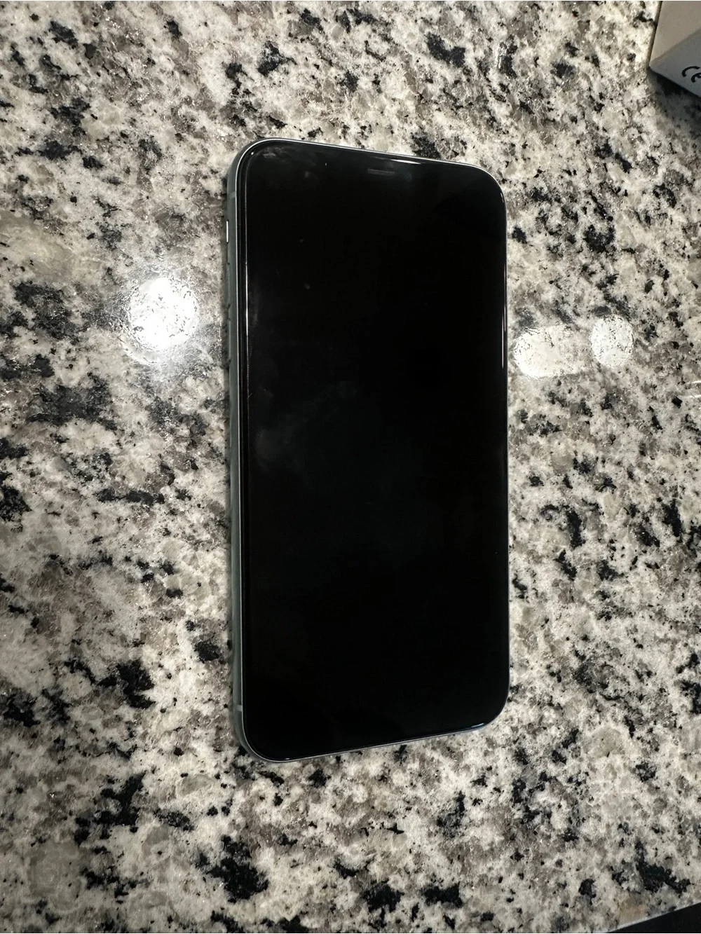 Apple iPhone 11 Mint Green Back Panel with Dual Camera *FULLY FUNCTIONAL*